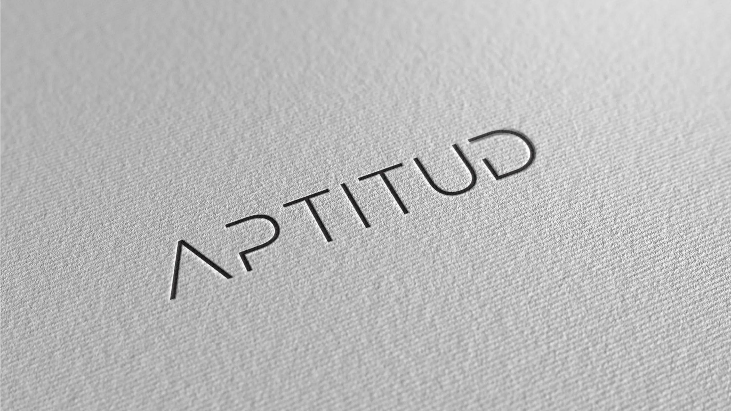Aptitud brand identity 1